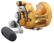 Penn INTERNATIONAL 30VSX Overhead Reel Two 2 Speed - BRAND NEW + Last One 30 VSX