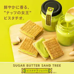 砂糖奶油樹 綜合餅乾(原味、開心果) 12個入 東京特產 Sugar Butter Tree 砂糖奶油樹 穀物 巧克力 菓子 綜合 禮品 點心 甜點 人氣 特產 經典土產 混裝 日本必買 | 日本樂天熱銷