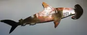 Hammer Head Shark - Metal Wall Art - Copper 34" x 14"