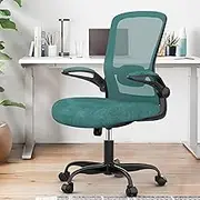 Office Chair, Ergonomic Desk Chair with Adjustable Lumbar Support, High Back Mesh Computer Chair with Flip-up Armrests-BIFMA Passed Task Chairs (Modern, Green)