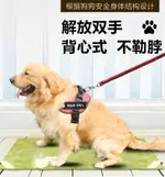 狗狗牽引繩大型犬小型中型犬伸縮訓練泰迪金毛遛狗耐咬P字狗繩P鏈