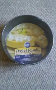 New Wilton Perfect Results Springform Pan NonStick 9 Inch