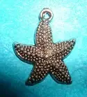 Pendant Starfish Charm Sea Shell Charm Vacation Fish Charm Animal Sea Life Charm