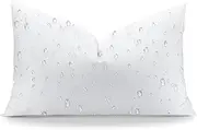 Artscope 12x20 Outdoor Pillow Inserts, Synthetic Down Waterproof Throw Pillow Inserts, Soft Decorative Outdoor Pillows for Couch Sofa Bed Patio Furniture