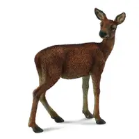 在飛比找蝦皮商城優惠-COLLECTA動物模型 - 母鹿 < JOYBUS >