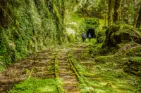 在飛比找雄獅旅遊優惠-嘉義旅遊｜漫步眠月線.免睡帳篷.奮起湖阿里山二日｜滿團14人