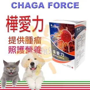 [可刷卡,免運]公司貨 健聖 CHAGA FORCE 樺愛力30顆/60顆 腫瘤照護 癌破錠/藻康留/瑞格敏/速藻醣可參