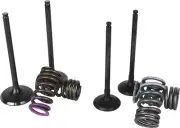 Wiseco Garage Buddy Valve Set - SVKB1403