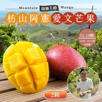 在飛比找momo購物網優惠-【初品果】枋山阿憲愛文芒果含箱重10斤x2箱(大果_12-1