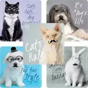 25 Rachael Hale Mustache Cat dog kitty puppy Stickers Party Favors