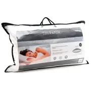 Sheraton Luxury Goose Down Surround Pillow