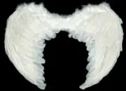 Wonderful White Feather Fairy Wings !