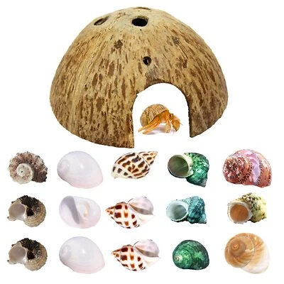 Hermit Crab Shells Natural Coconut Shell Nut for Tank Habitat Reptile Hideouts