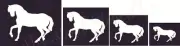 REUSABLE STENCIL 6706 Horse SET 2" - 5" - DIY Sign Stencils
