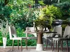 3D Tree Grass Stone Sea Leaf Self-adhesive Removeable Wallpaper Wall Mural 3795