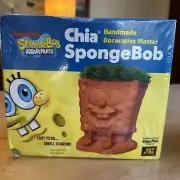 Spongebob SquarePants Chia Pet 2010 Nickelodeon New Sealed Planter Cartoon