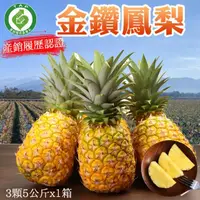 在飛比找momo購物網優惠-【初品果】台農17號金鑽鳳梨5公斤3顆x1箱(產銷履歷_大顆