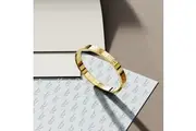 Carmello Stainless Steel Bangle in Gold - 64mm