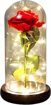 Enchanted Red Silk Rose,Beauty and the Beast Rose with Fallen Petals in a Light