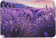 NQHJT Bathroom Mat Purple Lavender Bath Mat Non Slip Floor Mat Water Absorbent Quick Dry Rug Diatom Mud Mat for Indoor Outdoor Rug Mat