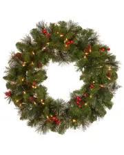 National Tree Company 24in Crestwood Spruce Wreath With Twinkly Led Lights