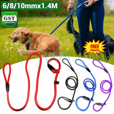Dog Training Correction Leash Lead Cesar Puppy Pets Millan Slip Nylon Rope AU
