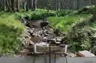 3D Green Forest River Wallpaper Wall Murals Removable Wallpaper 89