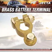 Projecta 5/16" 8mm Brass Battery Terminal Negative - Bolt Blister of 1