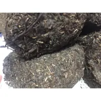 在飛比找蝦皮購物優惠-雅安牛皮藏茶30公克可加購