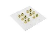 6 Speaker Cable Wall Plate Double Gang for 6 Surround Sound Speakers