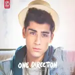 ONE DIRECTION / TAKE ME HOME ZAYN SLIPCASE