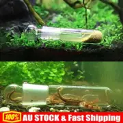 Clear Snail Trap Aquarium Fish Tank Leech Planaria Worm Plant Catcher Box