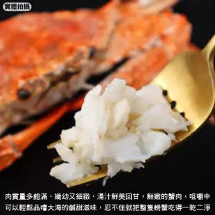 【三頓飯】活凍特大隻藍花蟹(3隻_400-450g/隻)