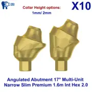 10x Dental DSI Narrow Angulated Abutment 17° Multi-Unit Premium 1.6m Int Hex 2.0