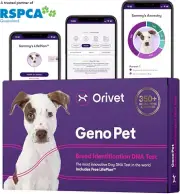 Genopet Dog DNA Test | Dog Breed Test Kit, Genetic Testing, Heritable Health Ris