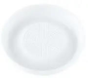 Maxwell & Williams: White Basics Ginger/Garlic Grater (9cm)