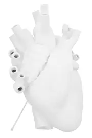 SELETTI 'Love In Bloom Giant’ Vase