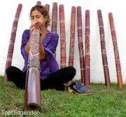 SHIPS FREE! ABORIGINAL DIDGERIDOO +Bag REPTILE/ANIMAL HANDCARVING & DOT-PAINTING