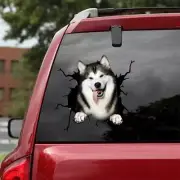 AlaSKan Malamute decal,Vinyl decal,car decoration,puppy,sticker dogs lover