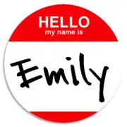 Hello My Name Is Emily - Circle Sticker Decal 3 Inch - Custom Nametag