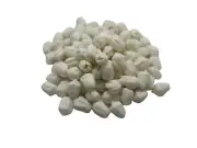 100 PCS White Clay Pikake Buds, Flower Bead for Jewelry Making, DIY