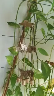 Brass Coated Wind Chimes, Elephants and Bells, Handmade