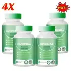 4x Rosabella Moringa 60Capsules for Immune Support,Gut Health&Vitamins 800mg