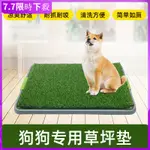 大號 狗狗 廁所 人造 草坪 寵物 定點 排便 拆卸 清理 狗尿盆 用品