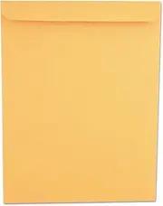 Universal Catalog Envelope, Side Seam, 10 x 13, Light Brown, 250/Box