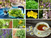 EDIBLE FLOWER HERBAL MEDICINAL PACK 12 packets of seeds