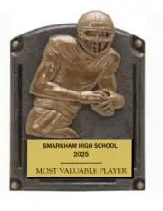 FOOTBALL AWARD GOLD RESIN TROPHY PLAQUE CHAMPIONS MVP MIP OFFENSIVE DEFENSIVE