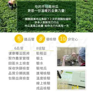 【免運超值組】瓜瓜園 蒸黃金地瓜 500g/包 [10包/15包組] 小顆 番薯【揪鮮級】