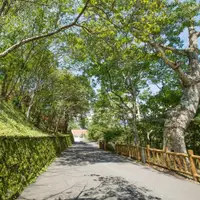 在飛比找蝦皮商城優惠-台中 台中商旅-八仙山莊-森活套房一泊二食(雙人/四人)[紙