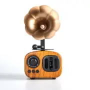 Retro Bluetooth Speaker with FM radio - Portable Vintage Wireless Speaker